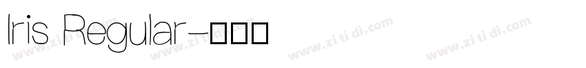 Iris Regular字体转换